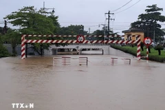 El puente Lon, calle DE Bui Thi Xuan, barrio DE Thuan Hoa, ciudad de Hue, se inundó profundamente en la mañana del 27 de octubre de 2025. (Fuente: VNA)
