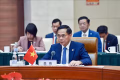 Bui Thanh Son, viceprimer ministro y canciller de Vietnam, habla en el evento. (Fuente: VNA)