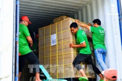 Personal de Sokfarm prepara el envío de exportación a EE.UU. (Foto: VNA)