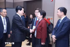 El presidente de Vietnam, Luong Cuong, recibe a Li Li, fundadora del Grupo MEBO International de China. (Fuente: VNA)