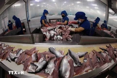 Estados Unidos mantiene en cero arancel antidumping para el pescado vietnamita de Tra 