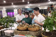 Visitantes prueban productos elaborados con ginseng Ngoc Linh y otras hierbas medicinales. (Fuente: VNA)