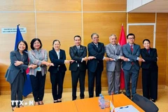 Delegados en el evento. (Fuente: VNA)