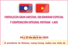 Fortalecen gran amistad, solidaridad especial y cooperación integral Vietnam - Laos