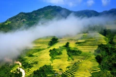 Participar en los World Trail Majors es una excelente opción para que los atletas exploren las majestuosas montañas y bosques que rodean SaPa. (Fuente: VNA)