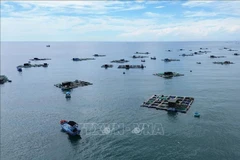 Modelo de cultivo de mariscos en jaulas en Ninh Thuan. (Foto: VNA)