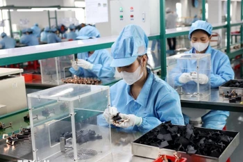 Foto de ilustración. (Fuente: VNA)