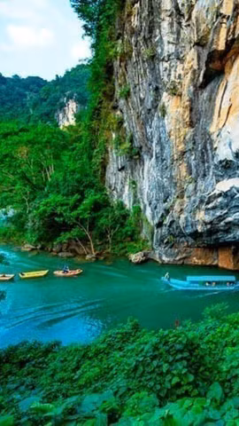 Vietnam posee 12 Reservas de Biosfera Mundiales, afirmando su compromiso con la protección ambiental y el desarrollo sostenible 