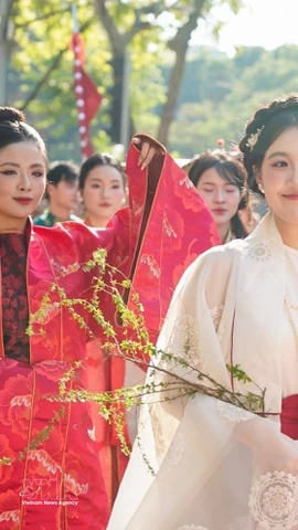 Vietnam preserva y difunde los valores culturales tradicionales en la era digital