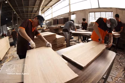 Producción de paneles de madera MDF para exportación a Estados Unidos, Australia y Tailandia en la empresa MDF Hai Duong, barrio de Tan Hiep, Ciudad Ho Chi Minh. (Foto: VNA)