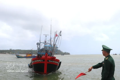 La fuerza de guardia fronteriza inspecciona los buques al entrar y salir del puerto (Fuente: VNA) 