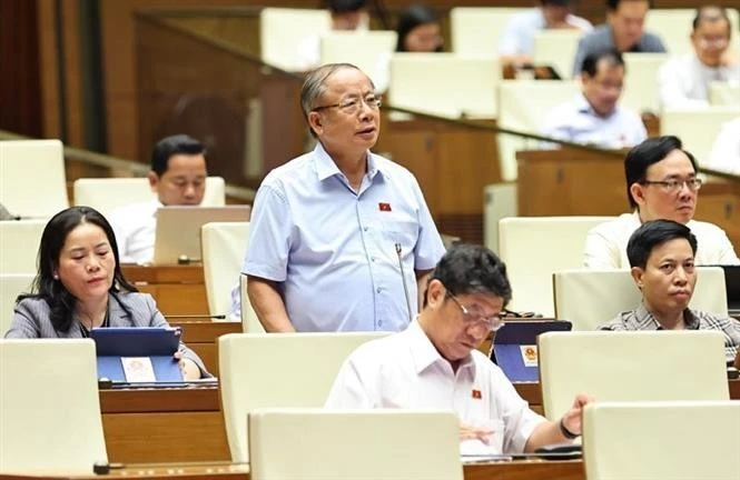 El diputado Nguyen Van Than, de la provincia de Hai Duong, interviene en la sesión (Foto: VNA)