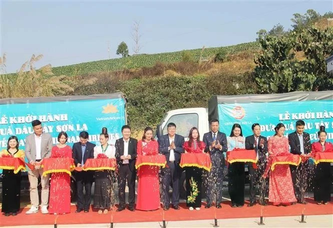 Delegados en la ceremonia que marca el transporte de fresas cultivadas en la provincia de Son La para servir en vuelos de Vietnam Airlines. (Foto: VNA)