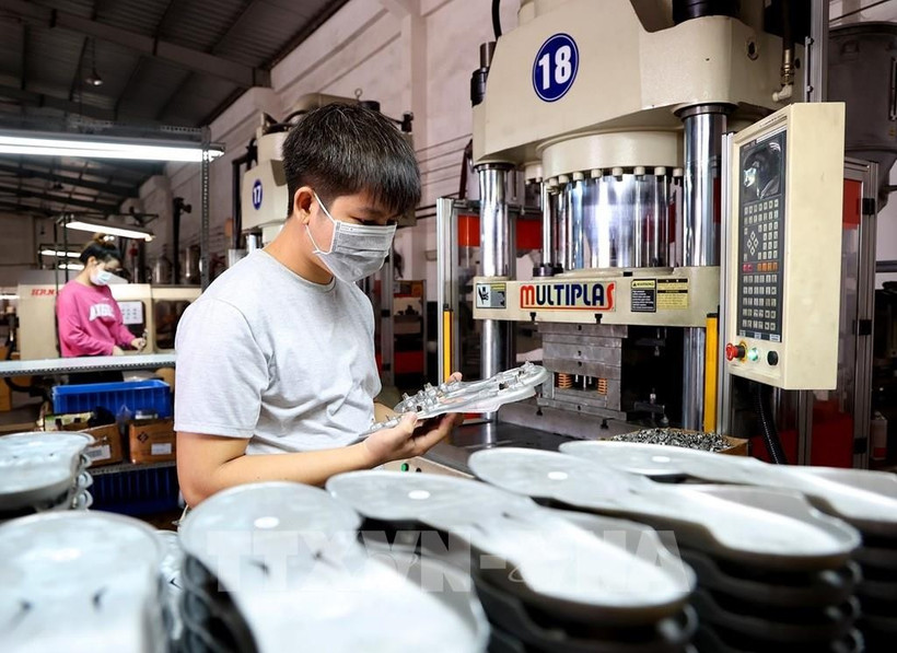 Producción de materiales para el calzado en una empresa con inversión extranjera (Foto: VNA)