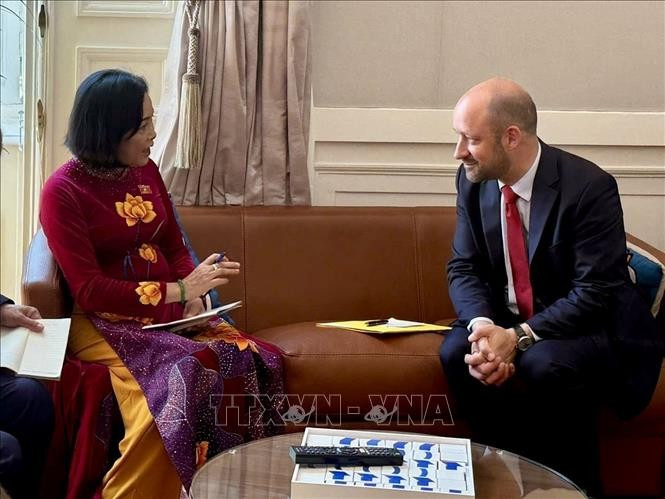 La vicepresidenta de la Asamblea Nacional de Vietnam, Nguyen Thi Thanh, se reúne con el subtitular del Senado francés, Loic Hervé (Foto: VNA)