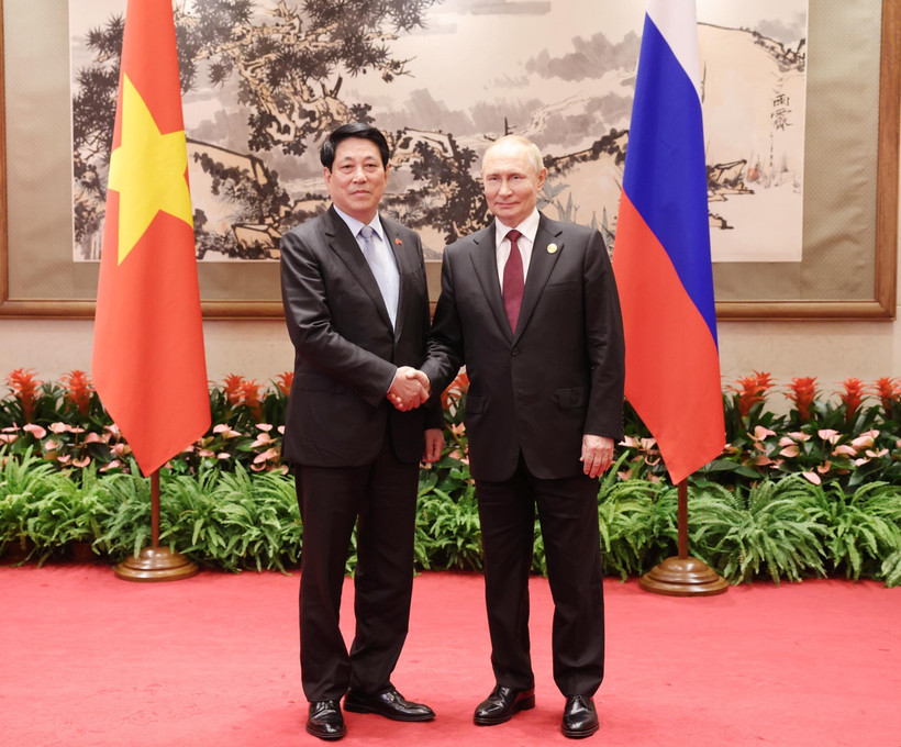 El presidente de Vietnam, Luong Cuong, se reúne con su homólogo ruso, Vladimir Putin. (Foto: VNA)