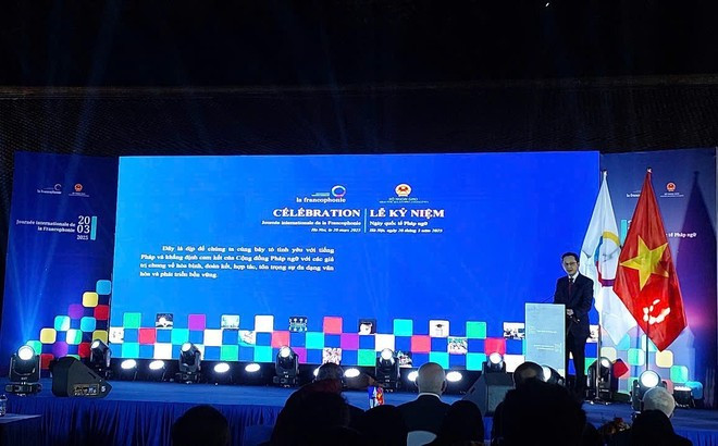 El vicecanciller vietnamita Do Hung Viet interviene en la cita (Foto: VNA)