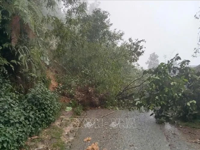 Consecuencias de un deslizamiento de tierra en la provincia norteña de Lao Cai (Foto: VNA)