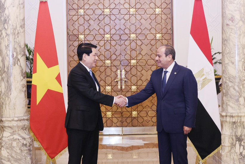 El presidente de Vietnam, Luong Cuong (izquierda), y su homólogo egipcio, Abdel Fattah El-Sisi (Foto: VNA)
