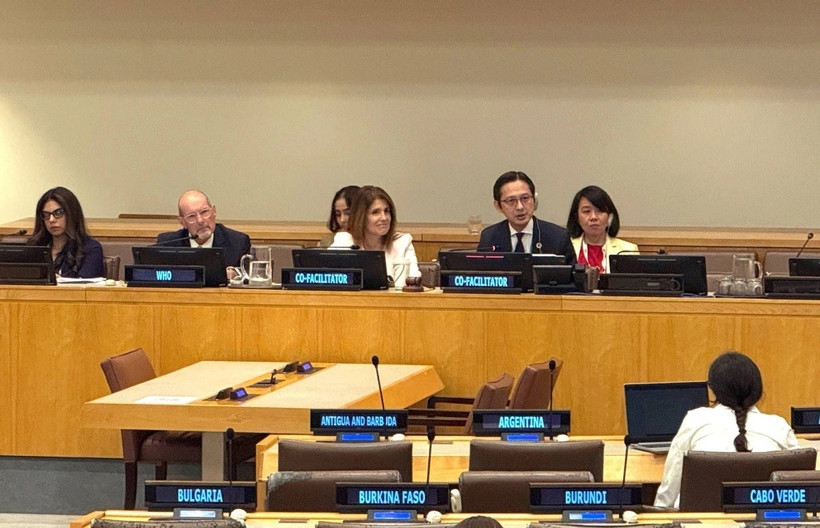 Esta resolución fue coordinada conjuntamente por el embajador Do Hung Viet, jefe de la Misión Permanente de Vietnam ante la ONU, y la embajadora Paula Narváez, jefa de la Misión Permanente de Chile. (Foto: VNA)