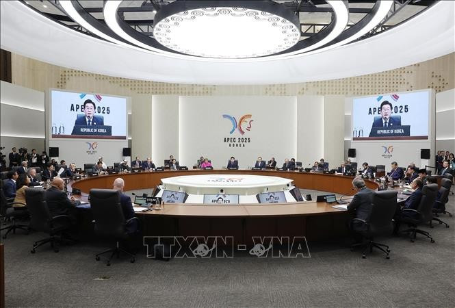 El presidente de Vietnam, Luong Cuong, participa en la Cumbre de Líderes Económicos del APEC (Foto: VNA)