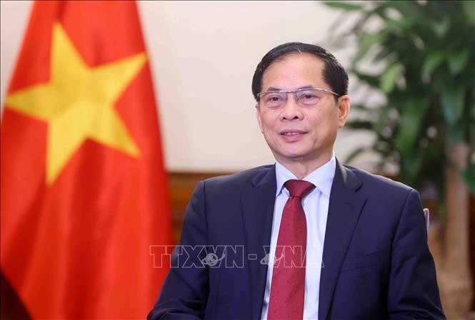 El vicepremier y ministro de Relaciones Exteriores de Vietnam, Bui Thanh Son (Foto: VNA)