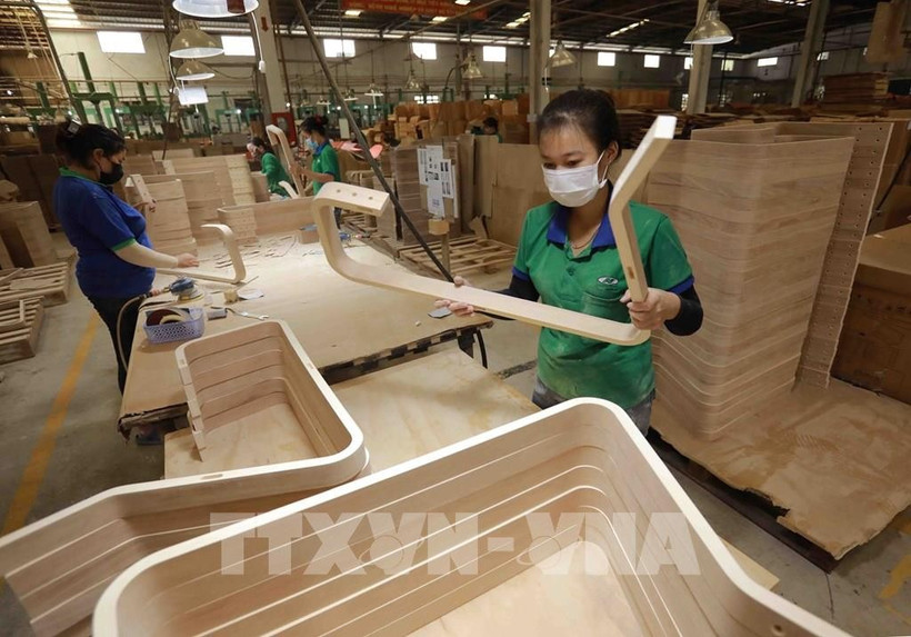 La transparencia en el origen de la madera es también uno de los requisitos clave para que Vietnam avance hacia la concesión de licencias FLEGT (Foto: VNA)
