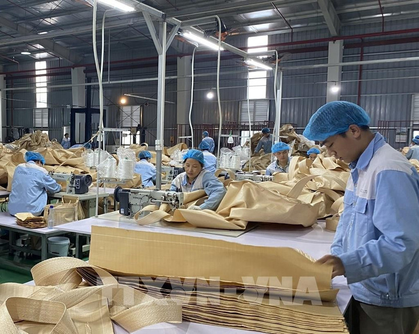 Producción de materiales de embalaje para exportación en Tuyen Quang (Foto: VNA)