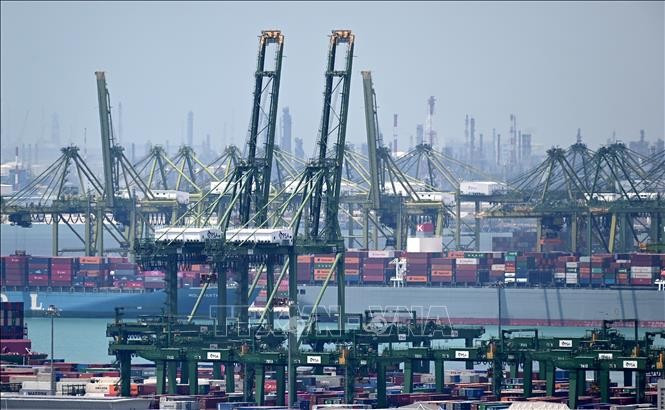 Puerto Pasir Panjang en Singapur (Foto: AFP/VNA)