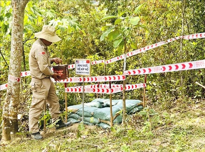 Terreno desminado de PeaceTrees Vietnam en la comuna de Huong Tan, distrito de Huong Hoa, provincia de Quang Tri (Foto: VNA)