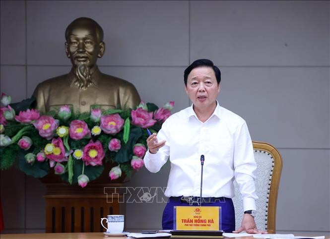 El viceprimer ministro vietnamita Tran Hong Ha preside la reunión (Foto: VNA)