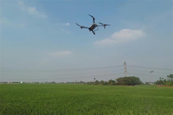 Un dron utilizado para la pulverización de pesticidas en la agricultura (Foto: VNA)