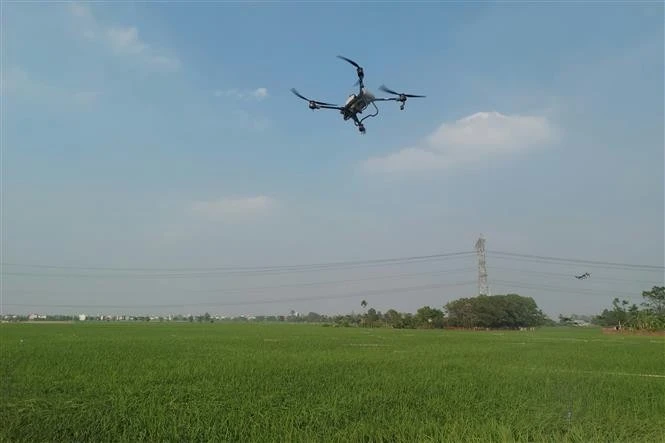 Un dron utilizado para la pulverización de pesticidas en la agricultura (Foto: VNA)