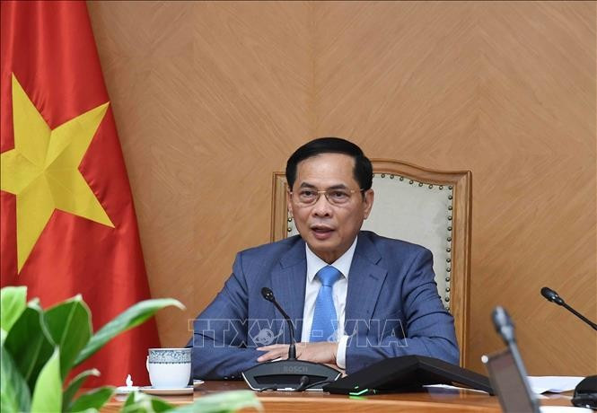 El viceprimer ministro vietnamita Bui Thanh Son (Foto: VNA)