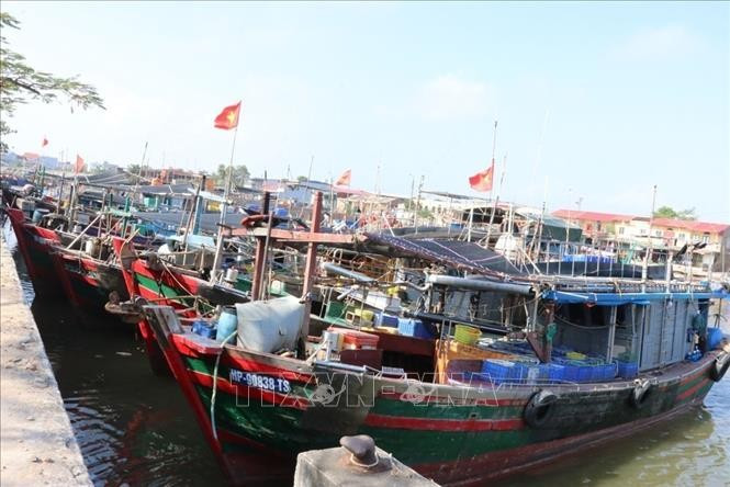 Hai Phong cuenta actualmente con 788 embarcaciones pesqueras (Foto: VNA)