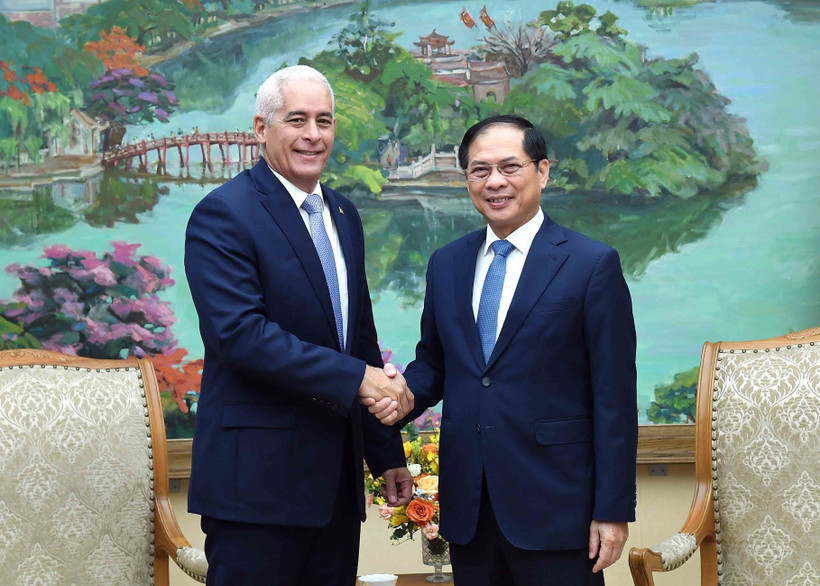 El viceprimer ministro y canciller de Vietnam, Bui Thanh Son (derecha), recibe a Gerardo Peñalver Portal, viceministro primero de Relaciones Exteriores de Cuba (Foto: VNA)