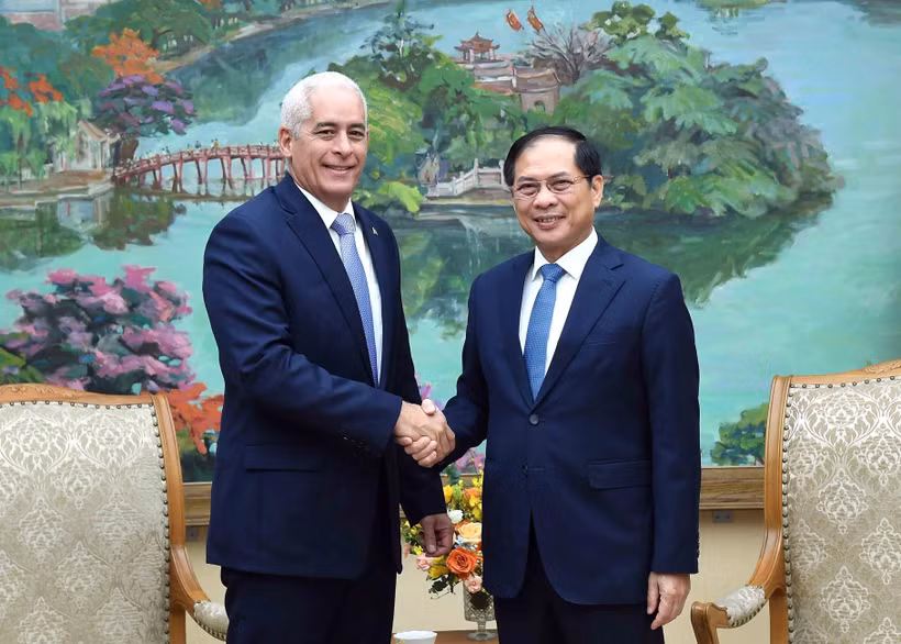 El viceprimer ministro y canciller de Vietnam, Bui Thanh Son (derecha), recibe a Gerardo Peñalver Portal, viceministro primero de Relaciones Exteriores de Cuba (Foto: VNA)