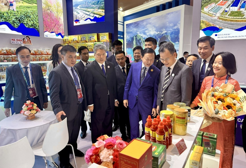 El viceprimer ministro Tran Hong Ha visita el pabellón de Vietnam (Foto: VNA)