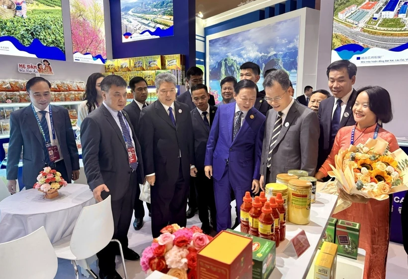 El viceprimer ministro Tran Hong Ha visita el pabellón de Vietnam (Foto: VNA)