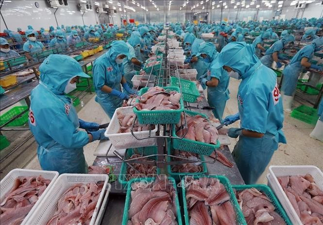 Los productos acuícolas son uno de los principales sectores de exportación con alto crecimiento en los primeros seis meses de 2025 (Foto: VNA)