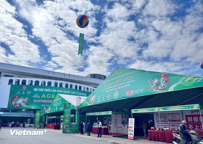Empresas vietnamitas buscan oportunidades de cooperación en materia de inversión, transferencia de tecnología y desarrollo de mercados de consumo de productos agrícolas. (Foto: Vietnam+)