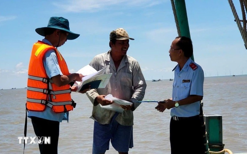 Las autoridades inspeccionan el cumplimiento de las normas contra la IUU por parte de los pescadores. (Foto: VNA)