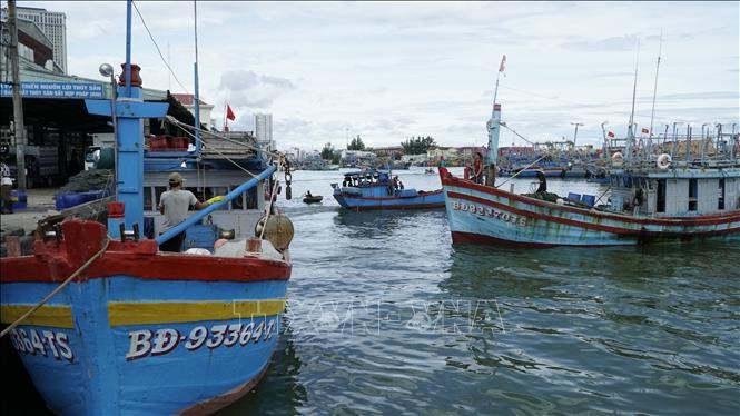 En el puerto pesquero de Quy Nhon (Foto. VNA)