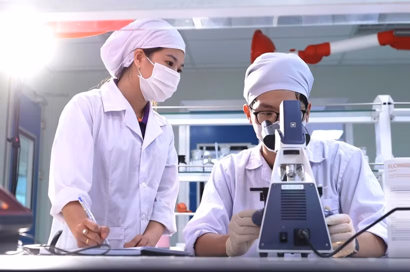 En el laboratorio de la fábrica farmacéutica CVI Pharma, en el parque de alta tecnología Hoa Lac (Foto: hanoimoi.vn)