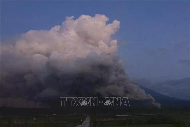 El volcán Semeru entró en erupción siete veces en la mañana de hoy, arrojando cenizas a una altura de hasta mil metros (Foto: VNA)