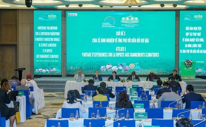 En el debate sobre el intercambio de experiencias en la respuesta al cambio climático (Foto: VNA)