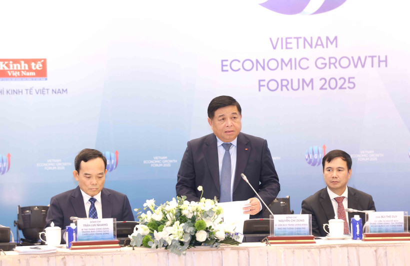 El viceprimer ministro vietnamita Nguyen Chi Dung interviene en la cita (Foto: VNA