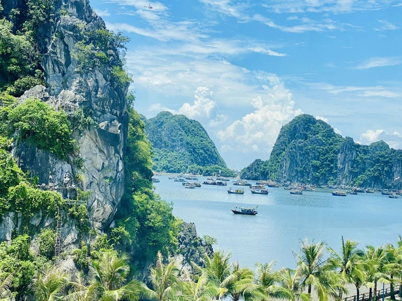 Un destino de turismo ecológico en la provincia de Quang Ninh (Foto: VNA)