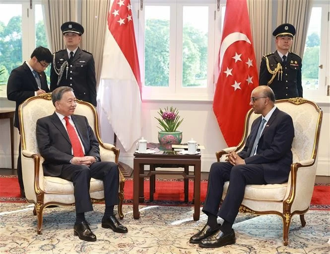 El secretario general del Partido Comunista de Vietnam, To Lam (izquierda), conversa con el presidente de Singapur, Tharman Shanmugaratnam. (Foto: VNA)