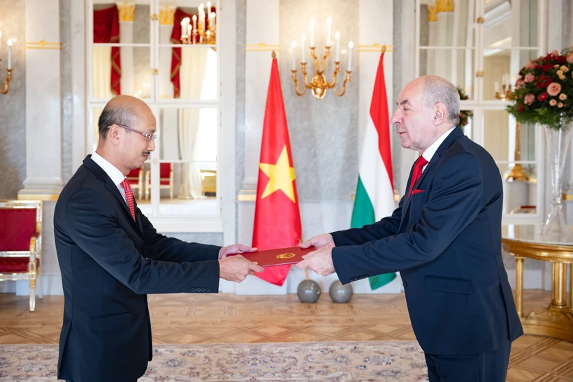 El presidente de Hungría, Sulyok Tamás (derecha), recibe las cartas credencias del embajador vietnamita, Bui Le Thai (Foto: VNA)